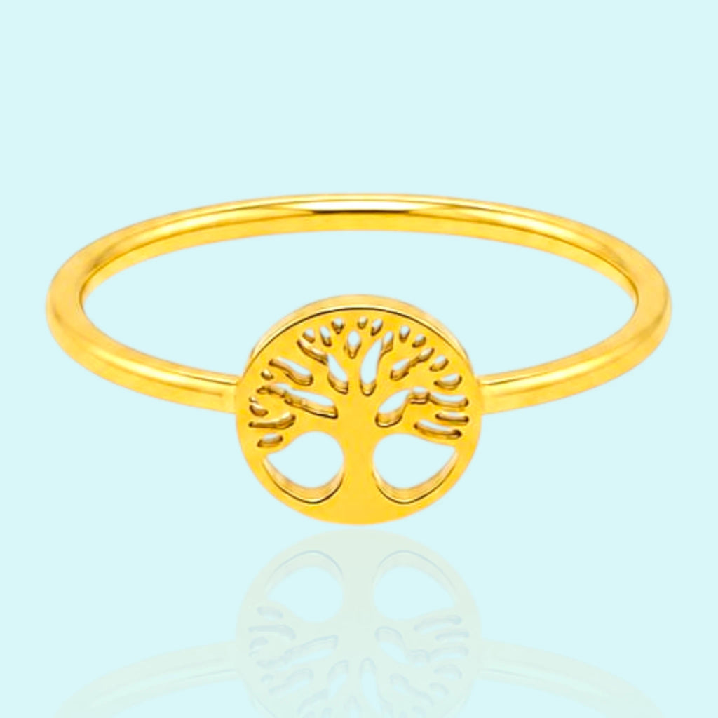 Life Circle