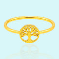 Life Circle
