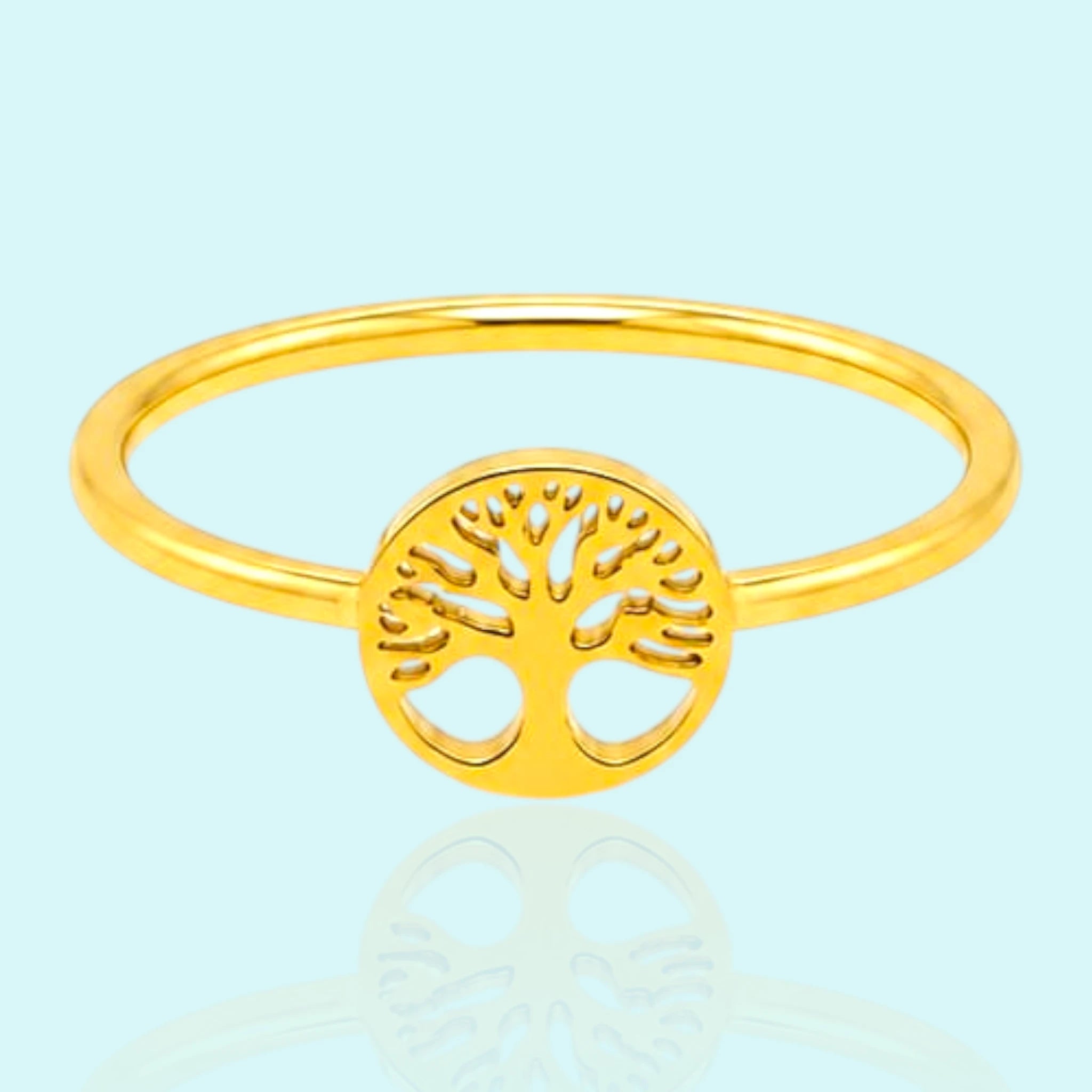 Life Circle