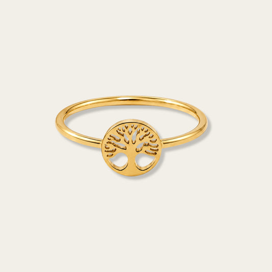 Life Circle